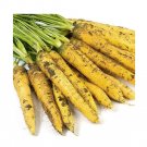 Super Seeds Carrot Yellowstone Vegetable Garden 200 Pcs