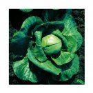 Super Seeds Cabbage Elisa Vegetable Garden 6 Pcs