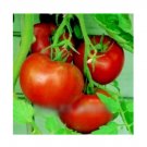 Super Seeds Tomato Big Boy Vegetable Garden 10 Pcs