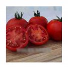 Super Seeds Tomato Gallant Vegetable Garden 5 Pcs