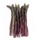 Super Seeds Asparagus Precoce DArgentuil Vegetable Garden 20+ Pcs