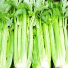 Super Seeds Celery Utah 52 70 Vegetable Garden 1000+ Pcs