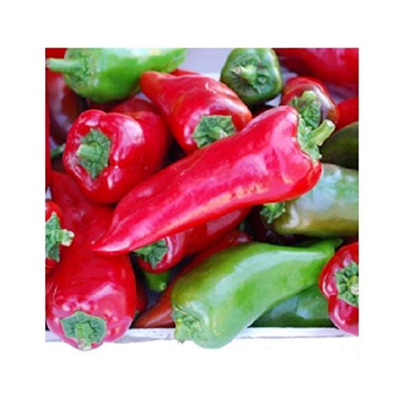 Super Seeds Organic pepper tollis sweet italian Vegetable Garden 8 Pcs