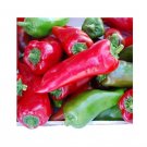 Super Seeds Organic pepper tollis sweet italian Vegetable Garden 8 Pcs