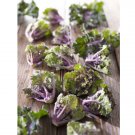 Super Seeds Flower Sprouts Kale Brussel Cross Vegetavle Garden 5 Pcs