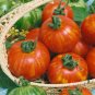 Super Seeds Tomato Tigerella Vegetable Garden 20+ Pcs
