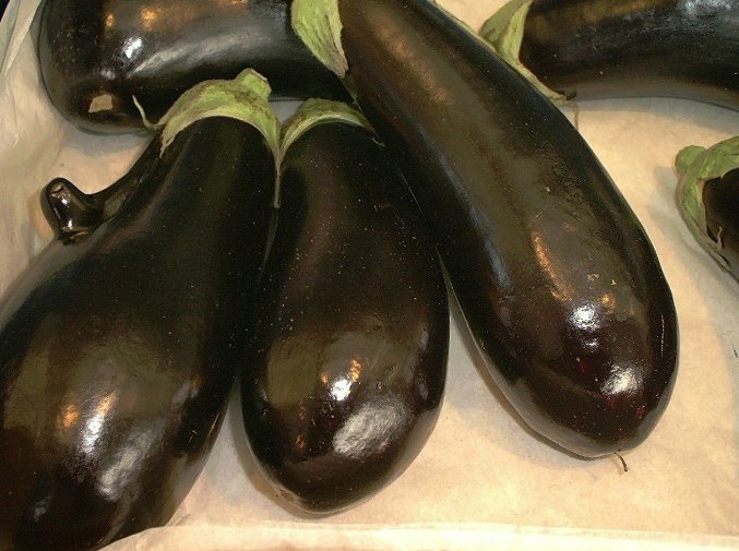 Super Seeds Aubergine Moneymaker Vegetable Garden 10 Pcs