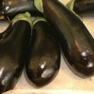 Super Seeds Aubergine Moneymaker Vegetable Garden 10 Pcs