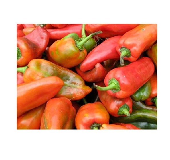 Super Seeds Sweet pepper aji dulce Vegetable Garden 10+ Pcs