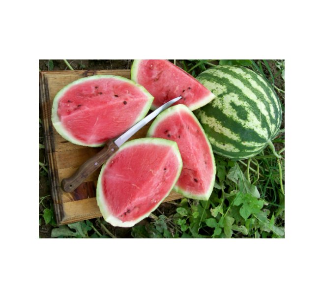 Super Seeds Water Melon Crimson Sweet Vegetable Garden 10+ Pcs