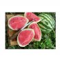 Super Seeds Water Melon Crimson Sweet Vegetable Garden 10+ Pcs