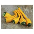 Super Seeds Gourd small spoon Vegetable Garden 10+ Pcs