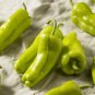 Super Seeds Pepper Sweet Cubanelle Vegetable Garden 20+ Pcs