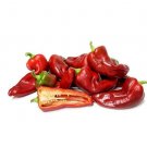 Super Seeds Organic pepper sweet corno di toro rosso Vegetable Garden 10+ Pcs