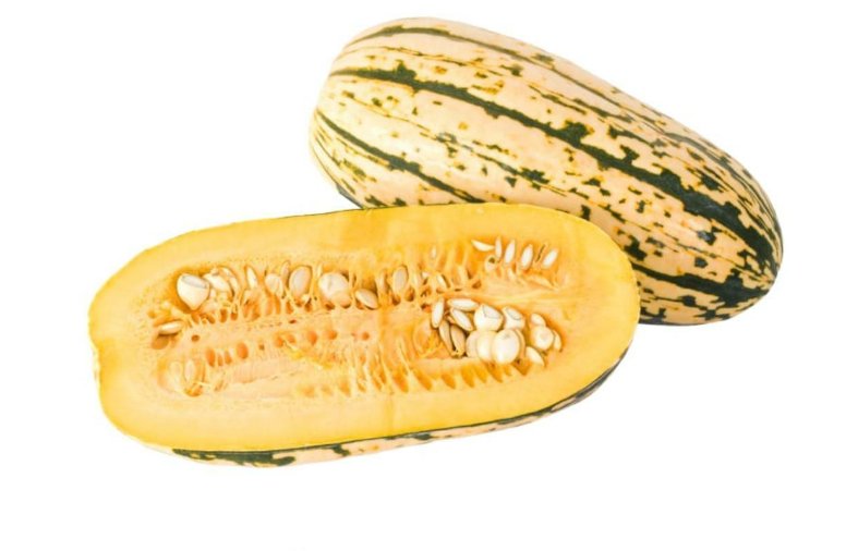 Super Seeds Delicata Squash Vegetable Garden 6 Pcs