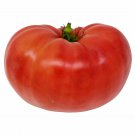 RCY BEEFSTEAK TOMATO VEGETABLE 25 AU SEEDS HEIRLOOM HIGH YIELDING
