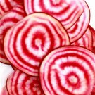 RCY BEETROOT CHIOGGIA VEGETABLE HEIRLOOM MILD AND SWEET 50 AU SEEDS