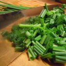 RCY 70 AU SEEDS CHIVES HERB CULINARY MILD ONION FLAVOUR