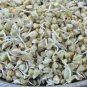 RCY MICRO GREEN BUCKWHEAT SPROUTS HEALTH SUPERFOOD MILD FLAVOUR 300 AU SEEDS