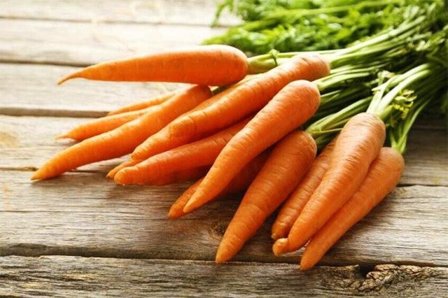 RCY 350 AU SEEDS CARROT ALL SEASONS VEGETABLE LARGE HEIRLOOM VARIETY GROWS ALL YEAR