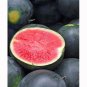 RCY Diamond Watermelon 20 Seeds Ct Fruit Melon 30-50 lbs