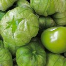 RCY Grande Rio Verde Tomatillo 50 US Seeds Ct Vegetable HEIRLOOM