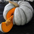RCY Jarrahdale Blue Pumpkin 5 US Seeds Ct Cucurbita Maxima Vegetable