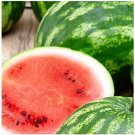 RCY Cal Sweet Supreme Watermelon 25 US Seeds Fruit Melon Heirloom