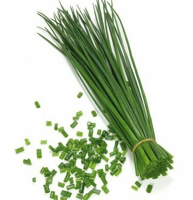 RCY 200 AU Seeds CHIVES Tas Grown Organic Herbs Onion Chive Heirloom