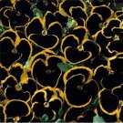 RCY Black Pansy Brunig Premium 15 AU Seeds Hybrid Garden Flowers Rare