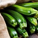 RCY Black Beauty Zucchini 6 AU Seeds Organic Tasmanian Grown Garden Vegetables