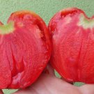 RCY Pink Tomato Oxheart 25 AU seeds Heirloom Vegetables Tomatoes Summer