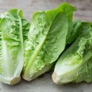 RCY 200 AU seeds Lettuce Baby Mini Cos Little Gem