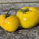 RCY 10 AU Seeds DWARF TOMATO Summer Sunrise Organic Heirloom Tasmanian Grown