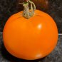 RCY TOMATO Moonglow 20 AU Seeds Tasmanian Grown Organic Heirloom Summer Garden