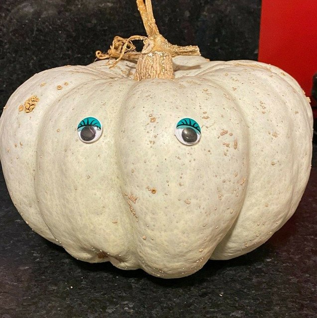 RCY 10 AU Seeds Zapalo Plumo Pumpkin Organic Heirloom Huge&Acirc;&nbsp;