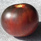 RCY 15 AU Seeds Gondwana THUNDER Tomato Organic Heirloom Indeterminate Rare Dwarf