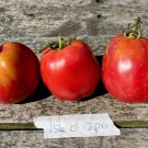 RCY Isle di Capri TOMATO 10 AU Seeds Rare Tasmanian Grown Organic Heirloom