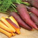 RCY 100 AU seeds Carrots Cosmic Purple Tas Organic Grown Open pollinated Vegetable