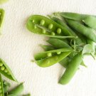 RCY 30 AU Seeds Peas Onward pisum sativum Early Shelling Bush Pea