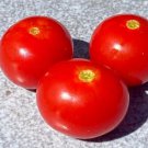 RCY CHRISTMAS GRAPES Tomato Rare 15 AU Seeds Organic Heirloom Cherry Indeterminate