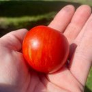 RCY 20 AU Seeds TOMATO Tigerella Organic Heirloom Tomatoes Tasmanian Grown
