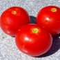 RCY 20 AU Seeds CHRISTMAS GRAPES Tomato Organic Heirloom Cherry Indeterminate Rare