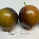 RCY 10 AU Seeds Black Shadow Tomato Heirloom Variety Tassie Grown