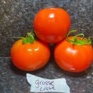 RCY 20 AU Seeds GROSSE LISSE Tomato