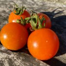 RCY 15 AU Seeds Small Sweet Orange Cherry Tomato Organic Tas Grown Heirloom Rare