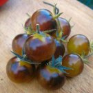 RCY 25 AU Seeds Blue Cream Berries Heirloom AKA Amethyst Cream Cherry Tomato