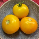 RCY 15 AU Seeds Taxi Tomato determinate Organic Heirloom Tassie Summer Garden
