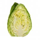 RCY 100 AU Seeds Cabbage Sugarloaf