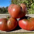 RCY 10 AU Seeds TOMATO Rosella Purple Dwarf Organic Heirloom Rare Tassie Grown